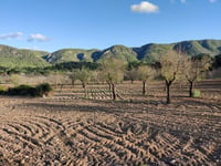 Calvià