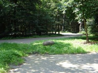 Camerig über Groenenweg