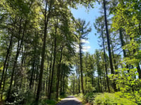 Camerig über Groenenweg