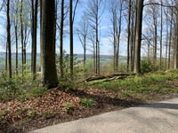 Camerig über Groenenweg