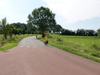 Camerig