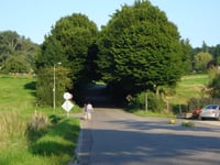 Camerig
