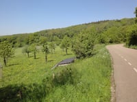 Camerig