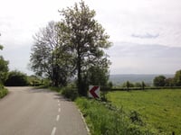 Camerig