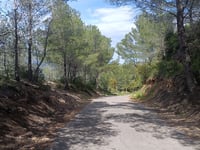 Camí de la Serra via Avenida de Don Juan Barceló