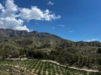 Camí de la Torre de les Maçanes depuis Busot