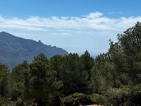 Camí de la Torre de les Maçanes depuis Busot