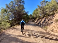 Camí de la Torre de les Maçanes desde Busot