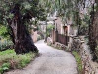 Camí de Ses Moncades da Sóller