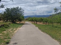 Camí del Corral Nou from La Barona