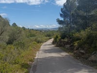 Camí del Corral Nou von Vall d'Alba