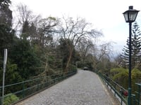 Caminho do Comboio da Funchal