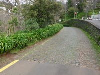 Caminho do Comboio da Funchal