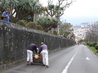 Caminho do Comboio da Funchal