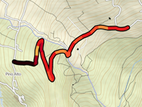 Camino Candelaria da Pino Alto