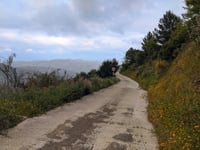 Camino de Algamíz von Puerto Cútar