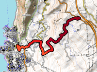 Camino Finca Chigora da Los Gigantes