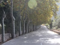 Can Costa von Valldemossa