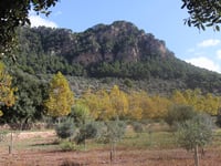 Can Costa von Valldemossa