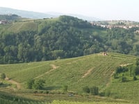 Canneto Pavese von Broni