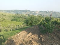 Canneto Pavese von Broni