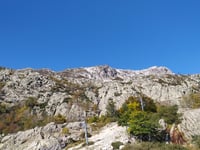 Capannelle