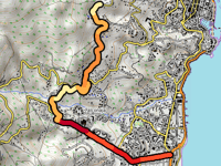 Cardo from Allée des Palmiers