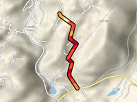 Carls Hill z Palm Road