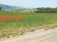 Passo del Carmine von Casa Marchese