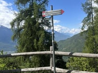 Carnale von Sondrio