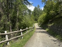 Carnale von Sondrio