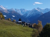 Carnale von Sondrio
