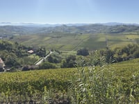 Castel Rocchero from Castelletto Molina