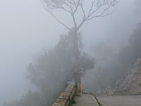 Castell de Santueri da Felanitx