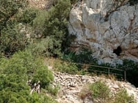Castell de Santueri da Felanitx