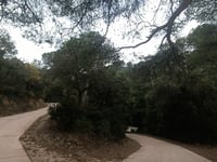 Coll de les Alzines Sureres from Duesaigües via Camí del Castell