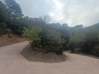 Coll de les Alzines Sureres from Duesaigües via Camí del Castell