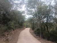 Coll de les Alzines Sureres from Duesaigües via Camí del Castell
