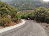 Coll de les Alzines Sureres przez Vilanova d'Escornalbou