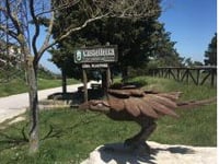 Castelletta / Cima Scarponi da Valtreara