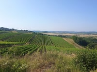Castellina in Chianti from Castellina Scalo