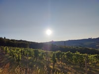 Castellina in Chianti von La Strolla