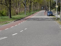 Cattepoelseweg von Arnhem
