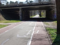 Cattepoelseweg from Schaarsbergen