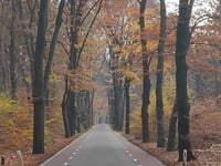 Cattepoelseweg from Schaarsbergen