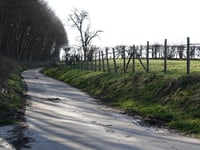 Cauthenbergstraat von Vroenhoven