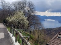 Cavallascio von Brissago