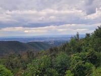 Cener von Zagreb