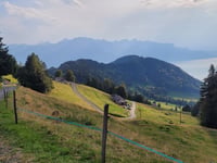 Cergnaule von Montreux