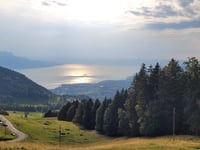 Cergnaule von Montreux